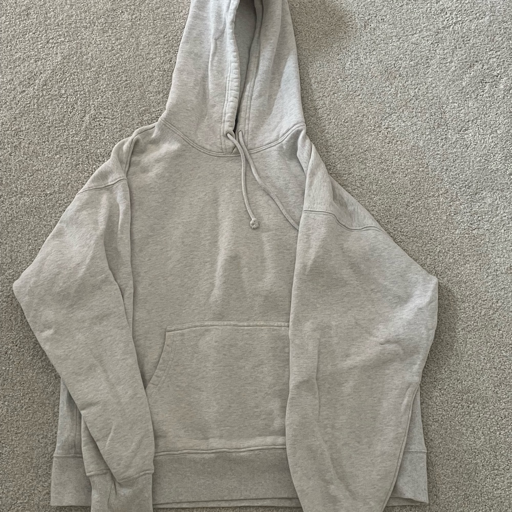 Aritzia TNA Boyfriend Hoodie